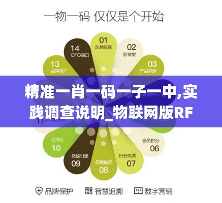 精准一肖一码一子一中,实践调查说明_物联网版RFQ9.46