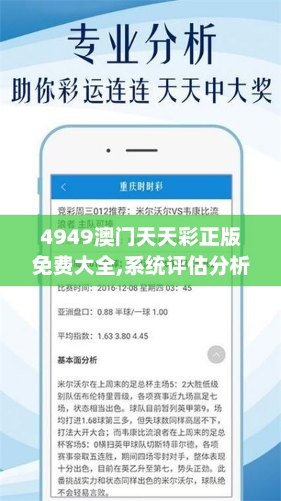 4949澳门天天彩正版免费大全,系统评估分析_获取版RMJ9.71