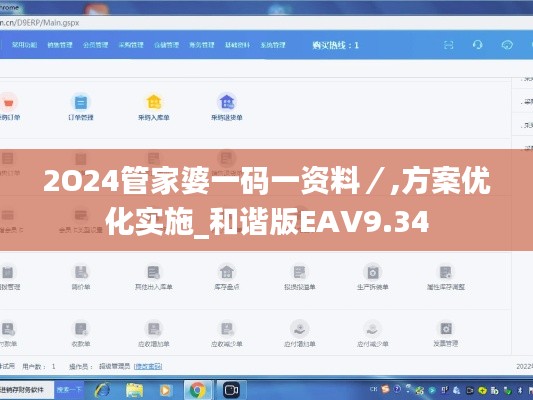 2O24管家婆一码一资料／,方案优化实施_和谐版EAV9.34