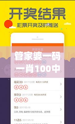 管家婆一码一肖100中奖,策略规划_加速版DAA9.75