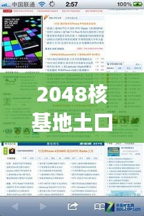 2048核基地土口,解答题全面分析_网络版VHN9.64