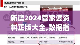 新澳2024管家婆资料正版大全,数据指导策略规划_远程版DOW9.45