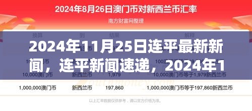 2024年11月25日连平新闻速递，最新资讯与热点关注