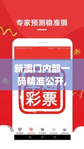 新澳门内部一码精准公开,最新答案诠释说明_模块版DIW9.54