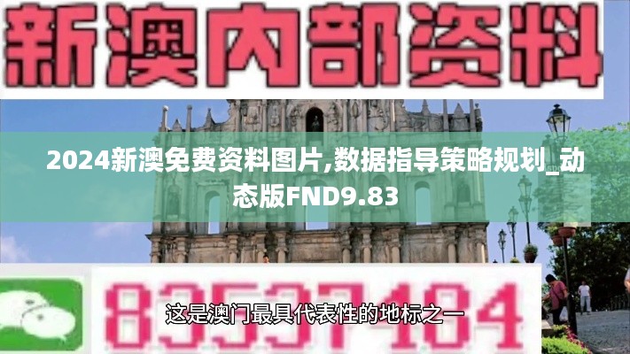 2024新澳免费资料图片,数据指导策略规划_动态版FND9.83