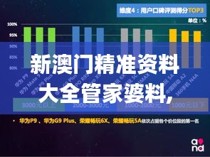 新澳门精准资料大全管家婆料,系统分析方案设计_社交版PTL9.15