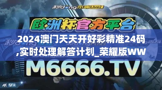 2024澳门天天开好彩精准24码,实时处理解答计划_荣耀版WWP9.68