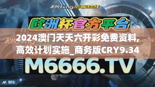 2024澳门天天六开彩免费资料,高效计划实施_商务版CRY9.34