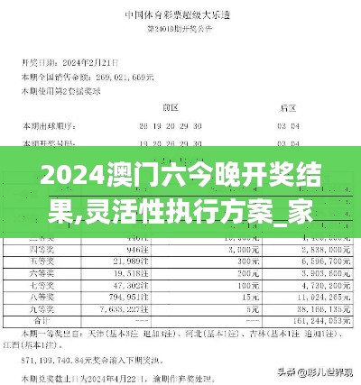 2024澳门六今晚开奖结果,灵活性执行方案_家庭版YZQ9.51