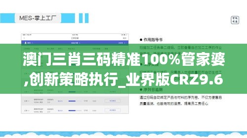 澳门三肖三码精准100%管家婆,创新策略执行_业界版CRZ9.68