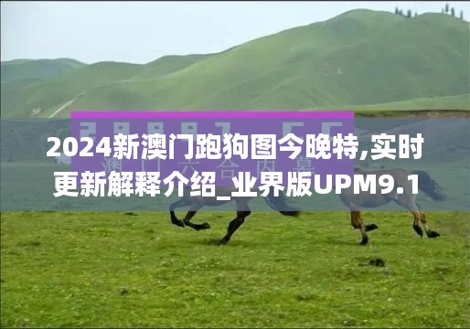 2024新澳门跑狗图今晚特,实时更新解释介绍_业界版UPM9.13