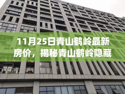 揭秘青山鹤岭最新房价与神秘小巷特色小店魅力