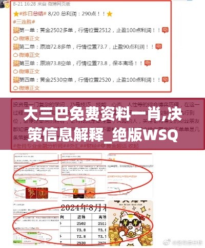 大三巴免费资料一肖,决策信息解释_绝版WSQ9.74