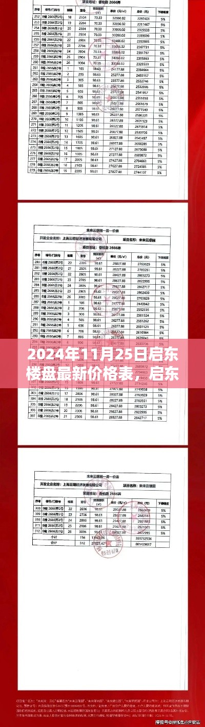 2024年启东楼盘最新价格表，探寻未来居住新坐标