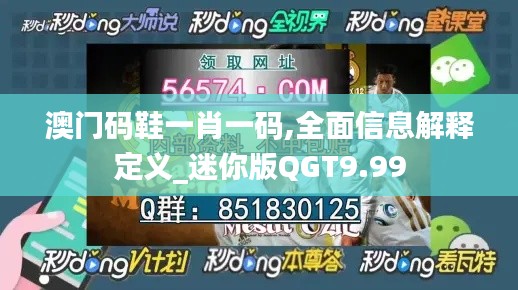 澳门码鞋一肖一码,全面信息解释定义_迷你版QGT9.99