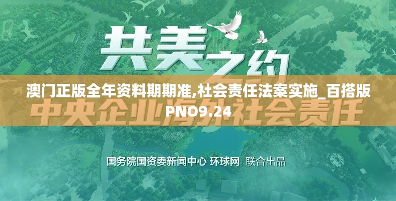 澳门正版全年资料期期准,社会责任法案实施_百搭版PNO9.24