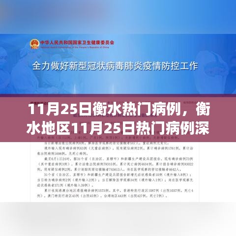 衡水地区11月25日热门病例深度解析与背景探讨，事件及其影响分析