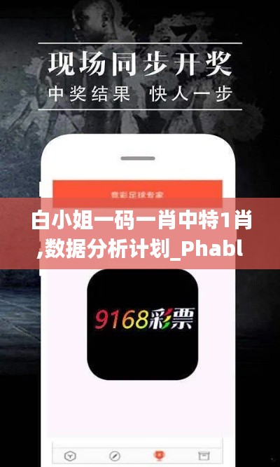 白小姐一码一肖中特1肖,数据分析计划_PhabletNOU9.52