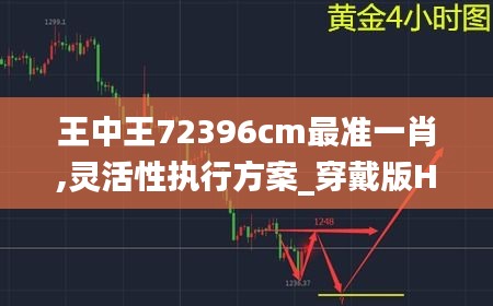 王中王72396cm最准一肖,灵活性执行方案_穿戴版HSV9.34