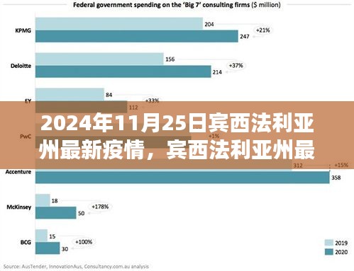 宾西法利亚州最新疫情动态及应对指南，2024年11月25日的防护与应对步骤