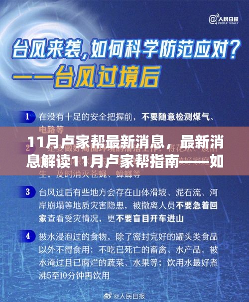 11月卢家帮最新动态解读，指南助力初学者与进阶用户跟进应用新动态