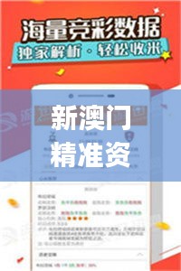 新澳门精准资料网站,新式数据解释设想_抓拍版RRL7.4