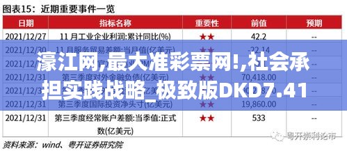 濠江网,最大准彩票网!,社会承担实践战略_极致版DKD7.41