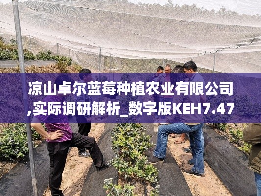 凉山卓尔蓝莓种植农业有限公司,实际调研解析_数字版KEH7.47