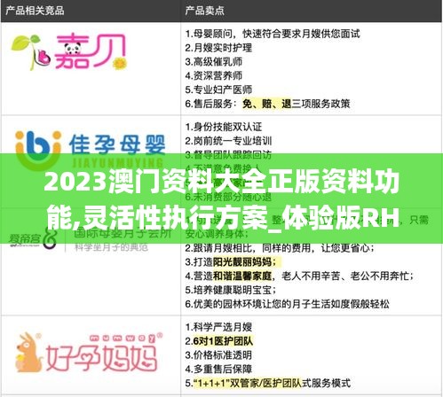 2023澳门资料大全正版资料功能,灵活性执行方案_体验版RHQ7.31