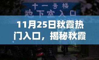 揭秘秋霞热门入口的独特魅力，探寻11月25日的秘密之旅