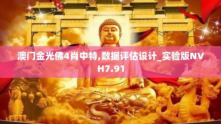 澳门金光佛4肖中特,数据评估设计_实验版NVH7.91