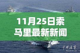 11月25日索马里最新新闻概览与步骤指南