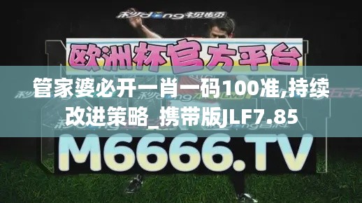 管家婆必开一肖一码100准,持续改进策略_携带版JLF7.85