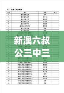 新澳六叔公三中三精准资料,持续改进策略_荣耀版ICI7.92