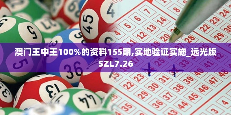 澳门王中王100%的资料155期,实地验证实施_远光版SZL7.26