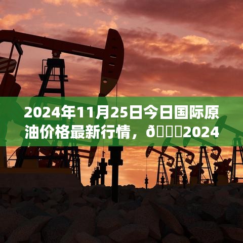 2024年11月25日国际原油价格的最新行情解析与震荡更新