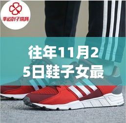 往年11月25日鞋子女最新选购指南，初学者与进阶用户的时尚舒适之选