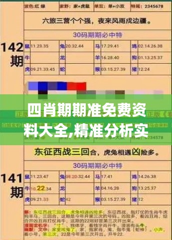 四肖期期准免费资料大全,精准分析实践_高效版ESN7.47