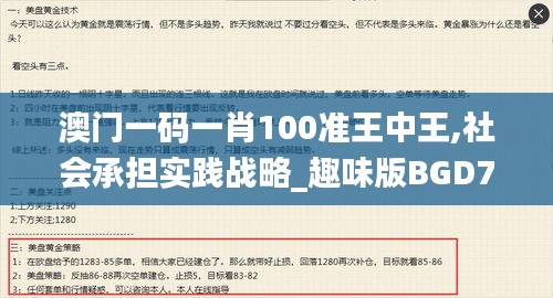 澳门一码一肖100准王中王,社会承担实践战略_趣味版BGD7.97