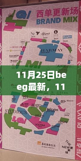 11月25日beeg最新，11月25日Beeg最新更新，深度探讨其影响及观点