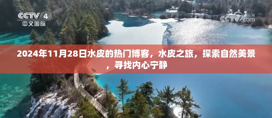 水皮之旅，探索自然美景，寻找内心宁静的博客日志（2024年11月28日）