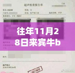 重磅独家爆料，来宾牛b超最新搞笑视频——科技狂欢下的超级体验日！