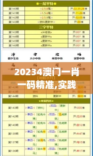 20234澳门一肖一码精准,实践调查说明_习惯版NAN4.98