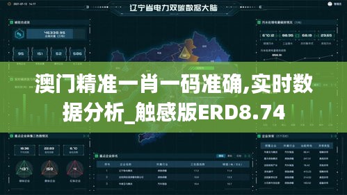 澳门精准一肖一码准确,实时数据分析_触感版ERD8.74