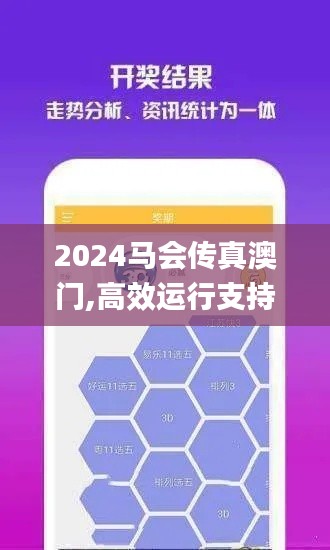 2024马会传真澳门,高效运行支持_实验版QLJ4.56