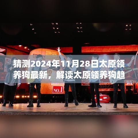 2024年太原领养狗趋势预测与最新动态分析