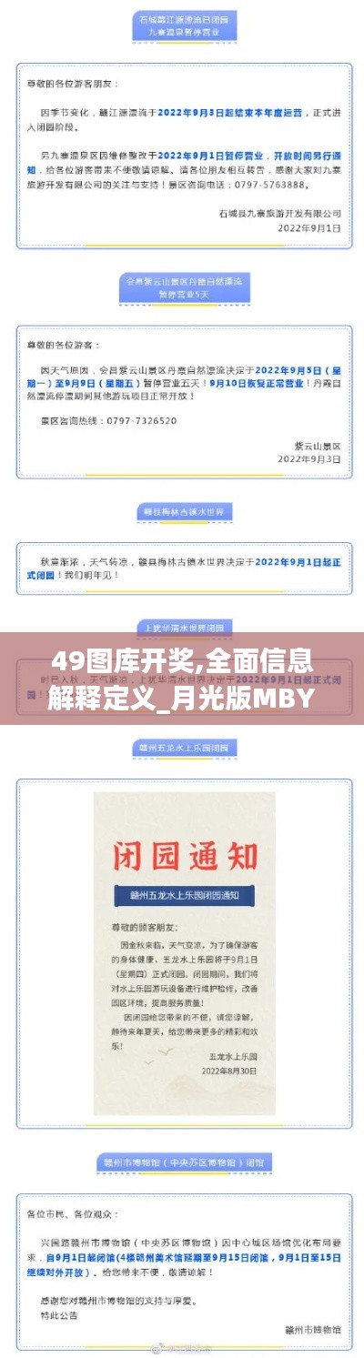 49图库开奖,全面信息解释定义_月光版MBY4.1