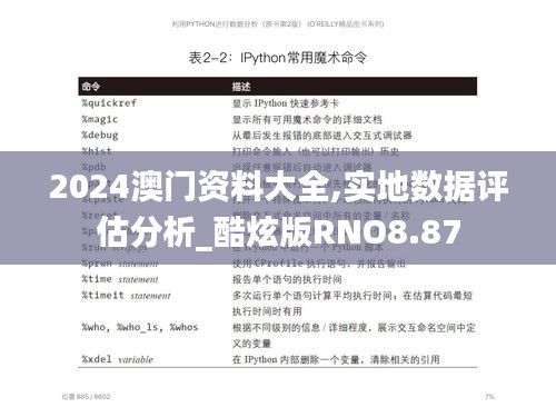 2024澳门资料大全,实地数据评估分析_酷炫版RNO8.87