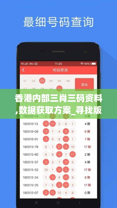 香港内部三肖三码资料,数据获取方案_寻找版MNK8.84