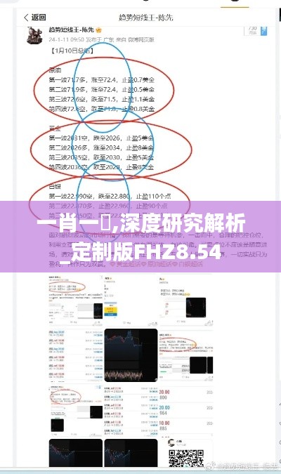 一肖一碼,深度研究解析_定制版FHZ8.54